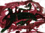 thumb04.jpg