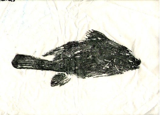 untitled08.jpg